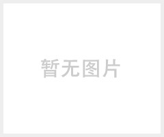 防滑链板直供湖北武汉优质Hairise防滑，链板