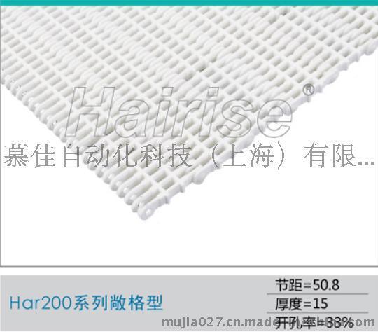 200敞格网链 200加挡板网链 200平格网链 200裙边网链